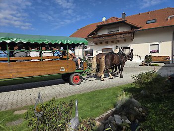 Kutsche
